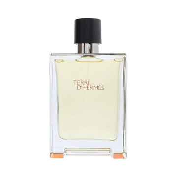 Hermes Terre D'hermes Eau De Toilette Spray 100ml